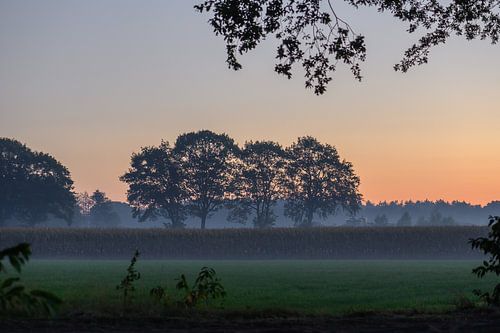 ochtend over het platteland