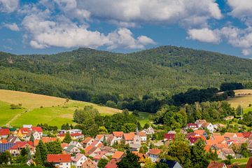 Prachtig landschap bij de Rennsteig/Thüringerwoud van Oliver Hlavaty