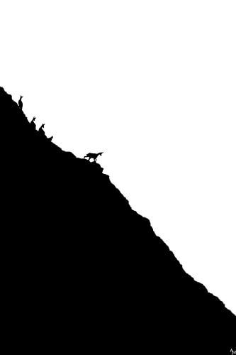 Scherenschnitte - Gämse