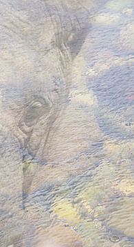 Olifant dubbelprint van Stephan Van Reisen