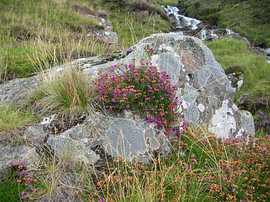 Grampians, Écosse : An Clach Beò – La pierre vivante sur Helmut Martin - The Art of Stone - Steinkunst & Photographie