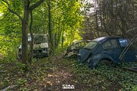Natuur verslind de auto's.