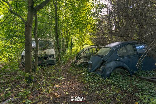 Natuur verslind de auto's.