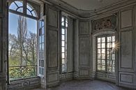 Prachtige kamer in verlaten Chateau von Kristel van de Laar Miniaturansicht