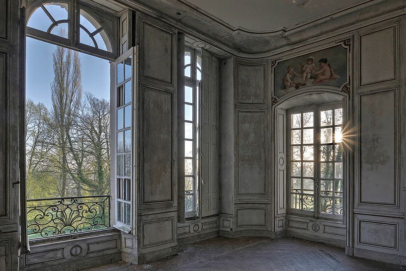 Prachtige kamer in verlaten Chateau von Kristel van de Laar
