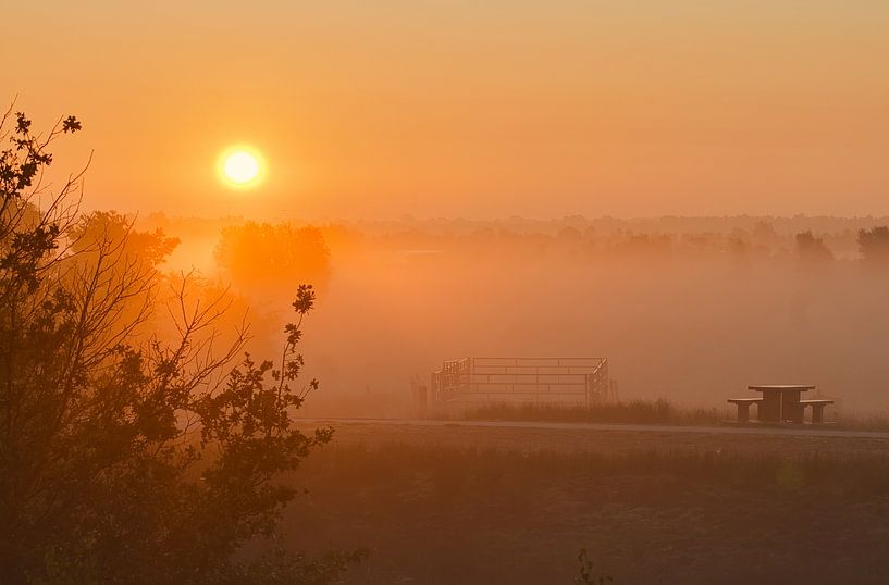 Zonsopkomst over nevelige weiden van Miny'S