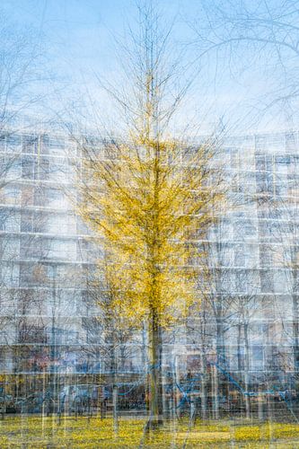 Last one standing. Als artFrame of op acryl, canvas, dibond