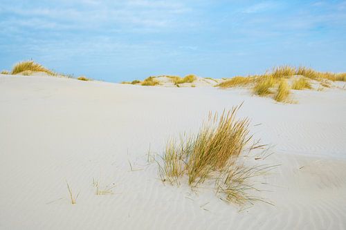 Dünen auf der Wattenmeerinsel Schiermonnikoog während eines schönen Wintertages von Sjoerd van der Wal Fotografie