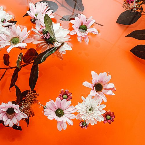 Oriental Evening Red