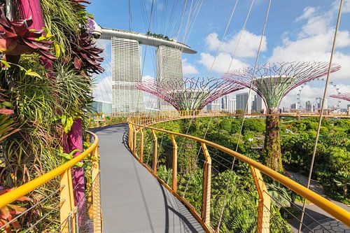 Skyway, Supertrees, Gardens by the Bay, Singapore