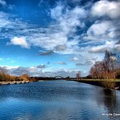 Mireille Geerts Profile picture