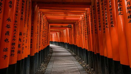 Die Tausend Torii: Ein endloser Korridor in Rot