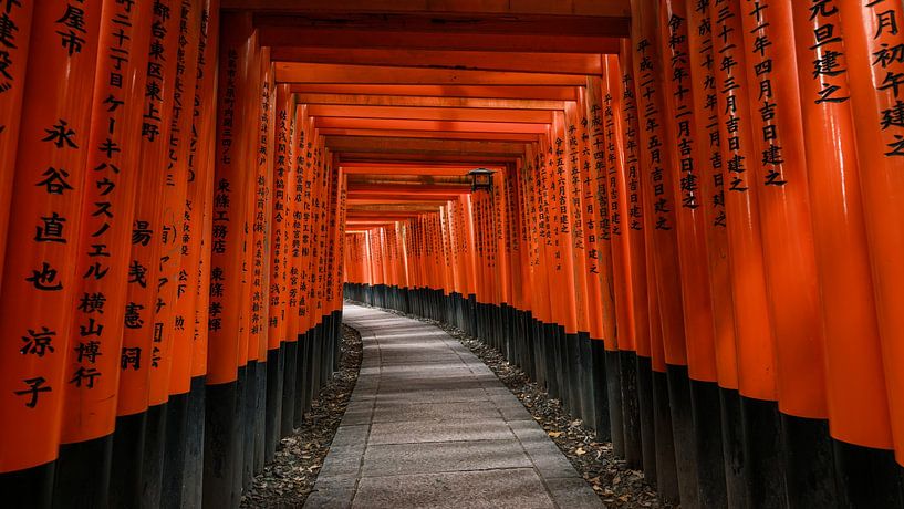 Die Tausend Torii: Ein endloser Korridor in Rot von Teun Ruijters