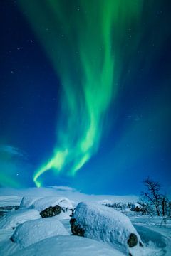 Noorderlicht - Noorderlicht - Aurora Borealis van Gerald Lechner