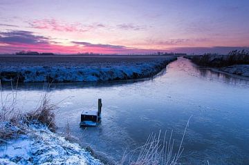 Looking at the light by Saskia Jans