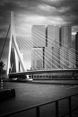 Paysage urbain contrasté