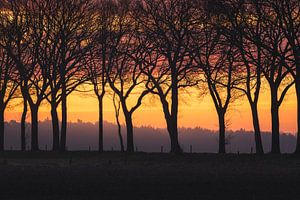 Lignes dans la lumière - matin dans le polder près de Drunen