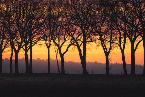 Lijnen in het licht – ochtend in de polder bij Drunen