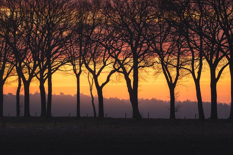 Lijnen in het licht – ochtend in de polder bij Drunen van Zwoele Plaatjes