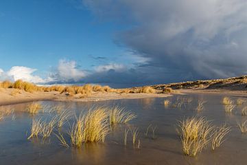 tempête sur les dunes côtières dorées des Pays-Bas sur Andrew Balcombe