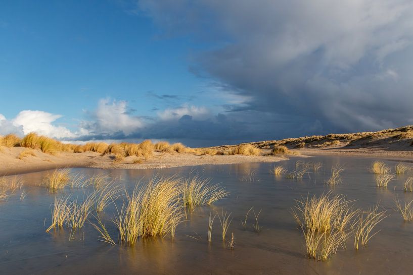 storm over golden coastal dunes of the Netherlands by Andrew Balcombe