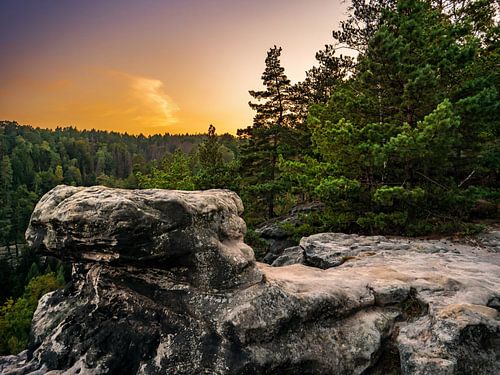 Goldsteinaussicht, Saksisch Zwitserland - Over de kloven