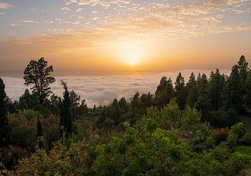 Zonsondergang boven een zee van wolken - La Palma, Canarische Eilanden van André Post