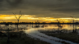 Coucher de soleil sur un marais inondé avec la silhouette d'arbres morts sur Johannes Jongsma