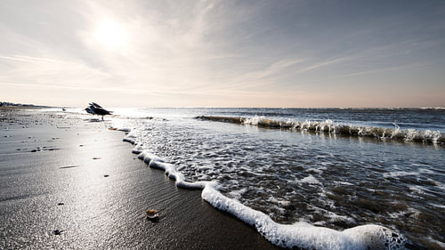 Zand, zout en zilver