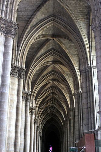 Gewelf in kathedraal