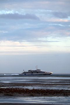 Tiger auf dem Pfand von Mooi op Terschelling