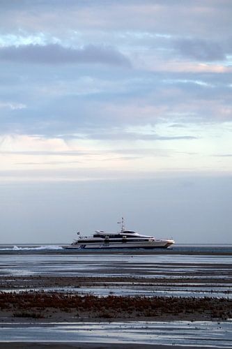 Tiger op het Wad