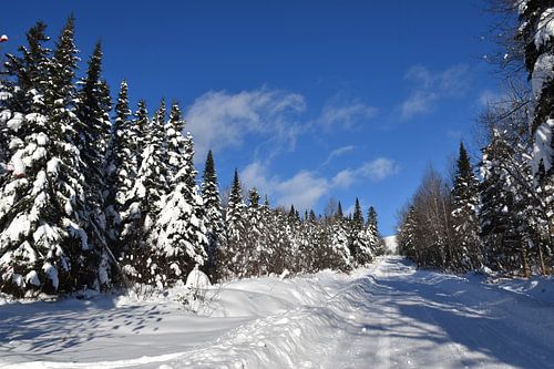 Een landweg in de winter