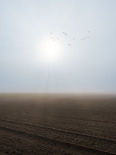 De zon breekt door