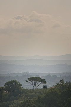 Herbst in der Toskana, Italien von Paul Teixeira