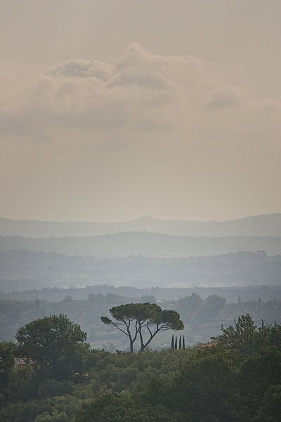 Herfst in Toscane, Italië van Paul Teixeira