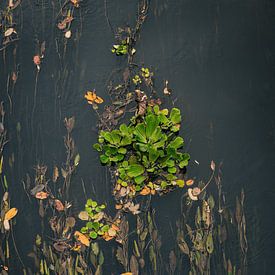 Stille (2) von Jenny Kambeck