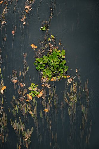 Silence (2) by Jenny Kambeck