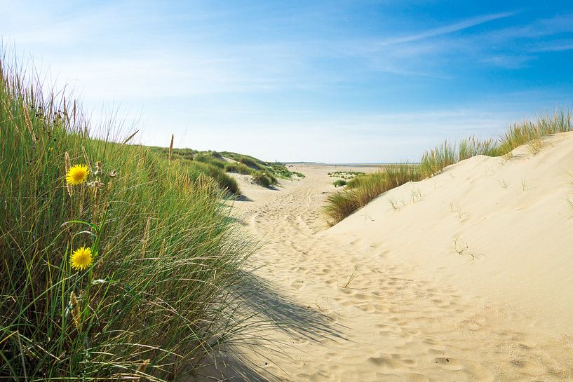 Duinen en strand von Michel van Kooten