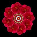 bloemenkrans  rood/zwart van Klaartje Majoor thumbnail