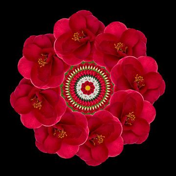 bloemenkrans  rood/zwart van Klaartje Majoor