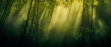 Zonnestralen in het dichte bos van Poster Art Shop
