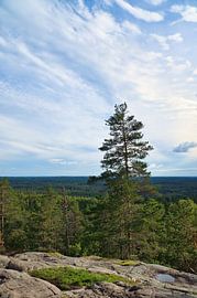 Skurugata in Småland, Schweden. Aussichtspunkt mit Blick über Wälder in Skandinavien.