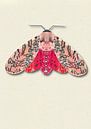 Rot-rosa Motte mit Schatten Insekt Illustration von Angela Peters Miniaturansicht