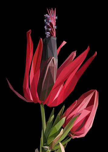 De bloem van het ornament Abstracte Illustratie Lage poly