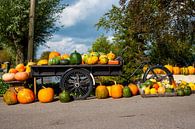 Bakfiets filled with pumpkins by Ed Bulk thumbnail