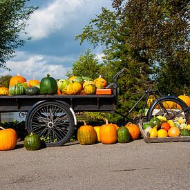 Bakfiets filled with pumpkins by Ed Bulk