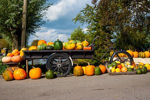 Bakfiets gevuld met pompoenen van Ed Bulk