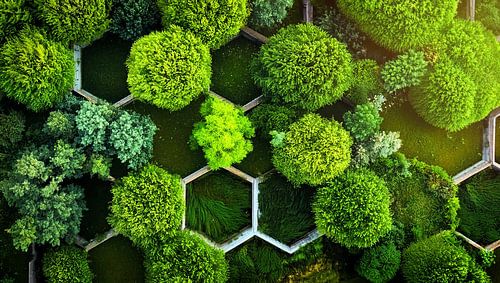 Grünzeug an der Wand