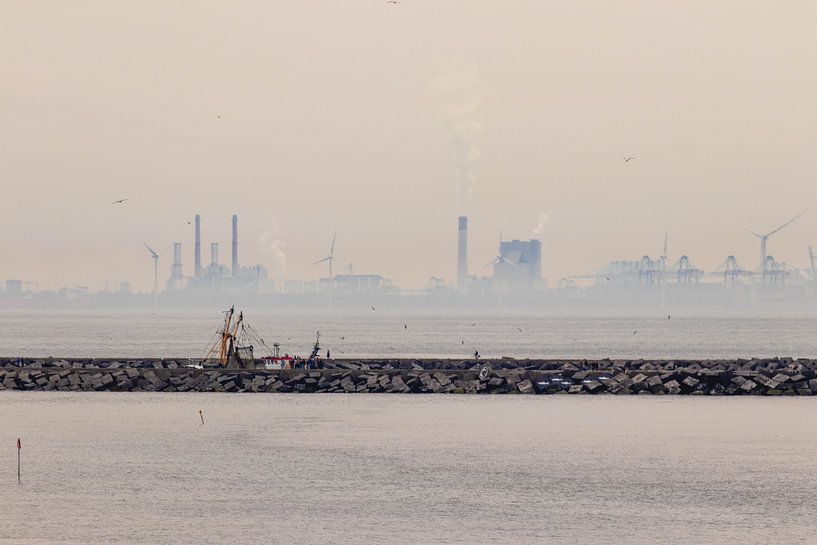 Scheveningen Nord, Hafenköpfe und Hoek van holland von Anne Zwagers